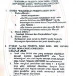 pengumuman ppdb 1